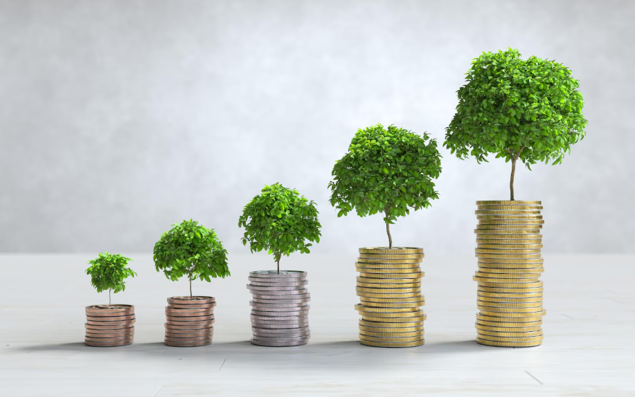 The Power of Investing for Financial Growth